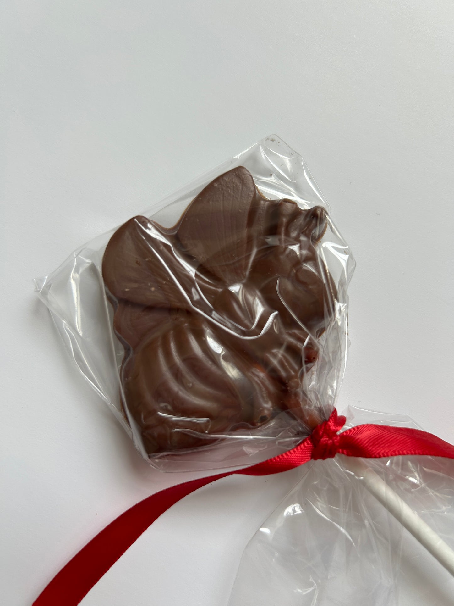 Cocoba Milk Chocolate Animal Lollipop - Bug